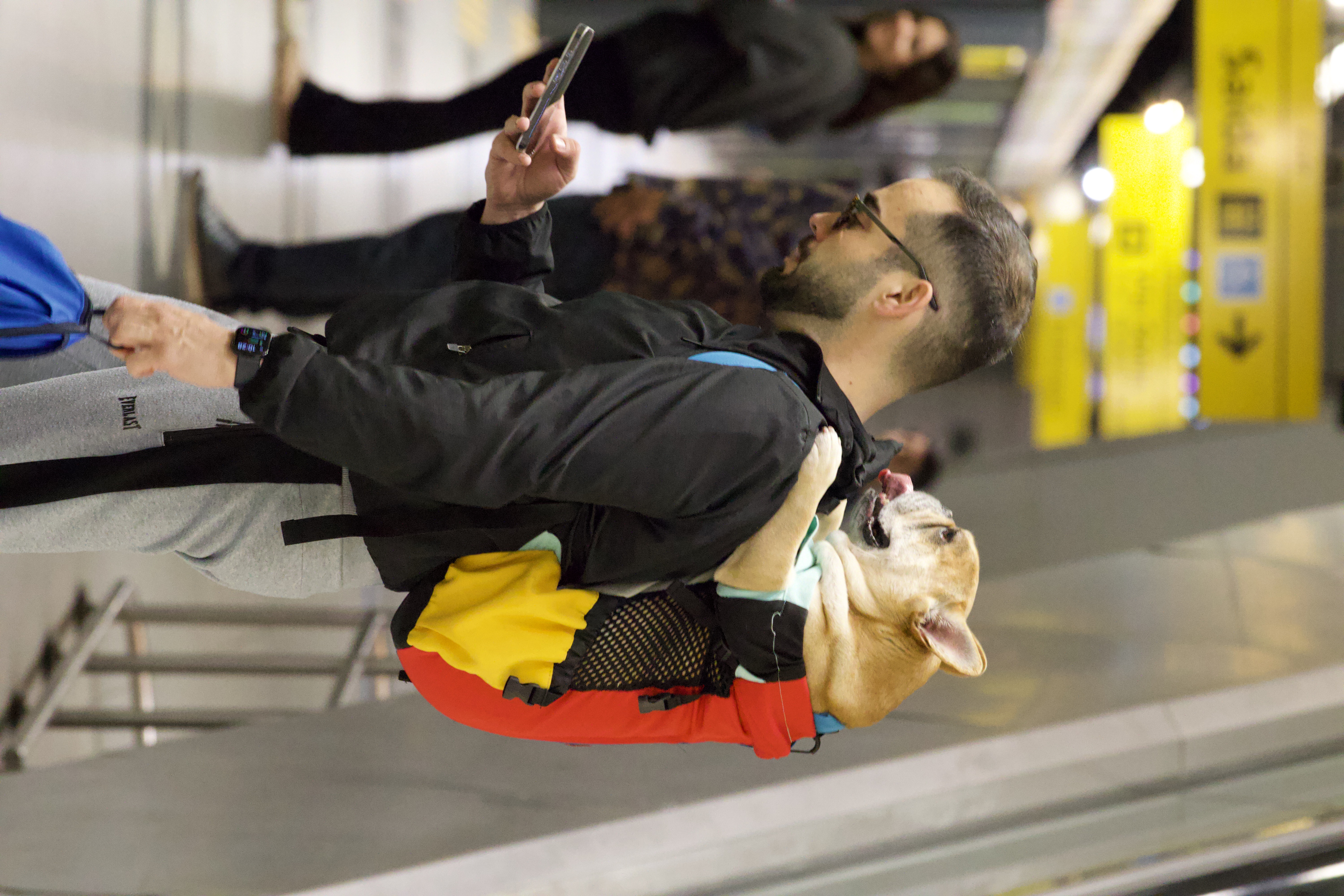 Autoral — Luan Rodrigues