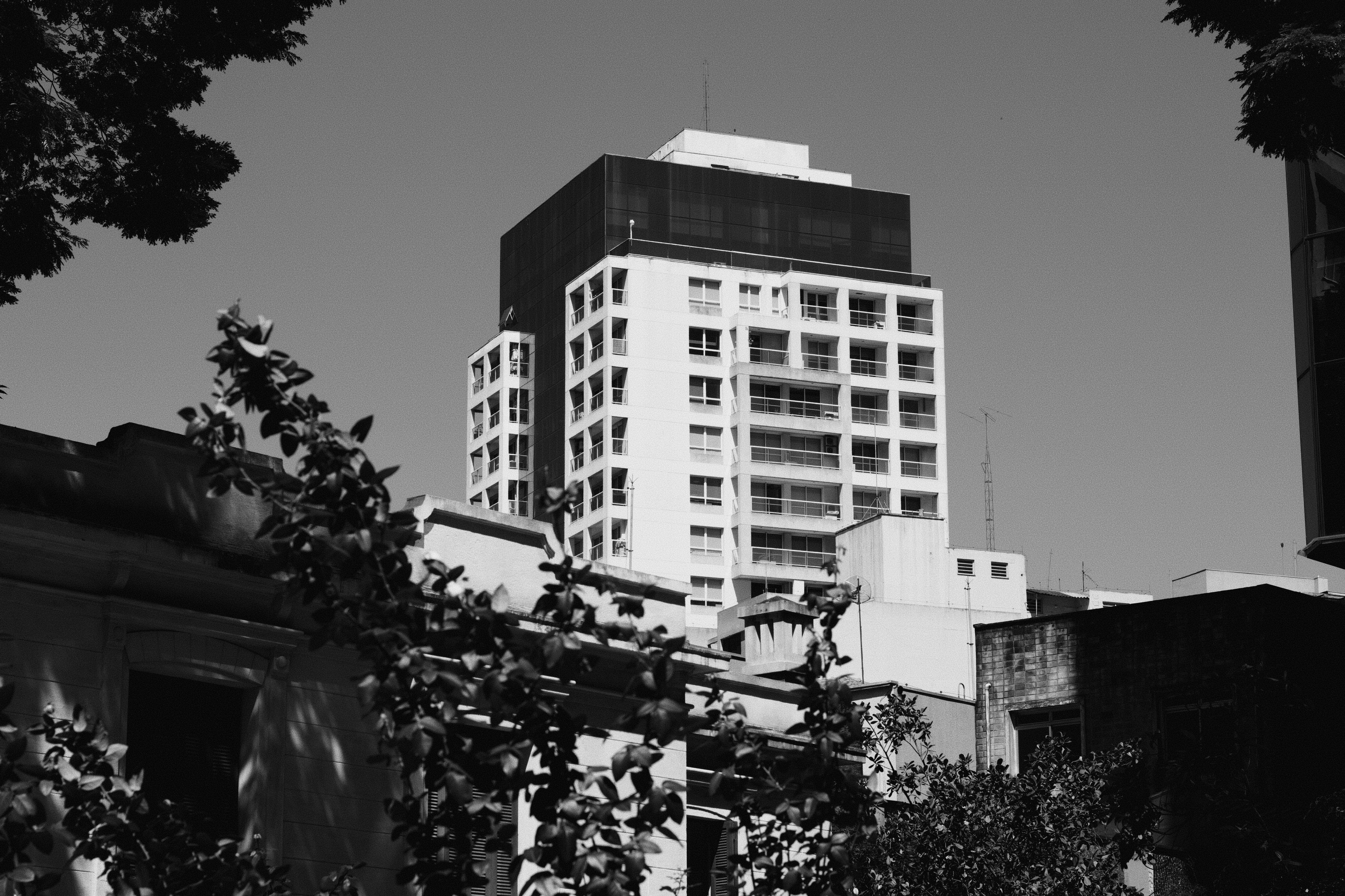 Autoral — Luan Rodrigues