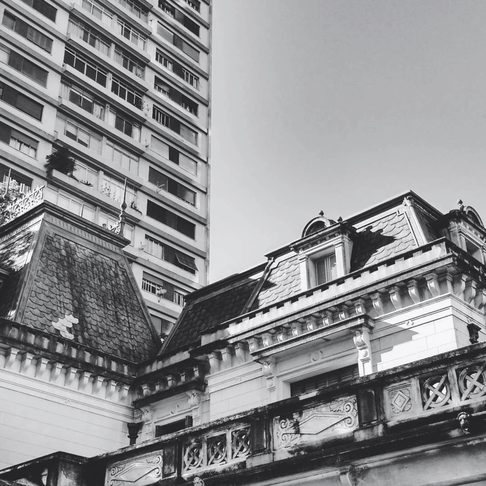 Autoral — Luan Rodrigues