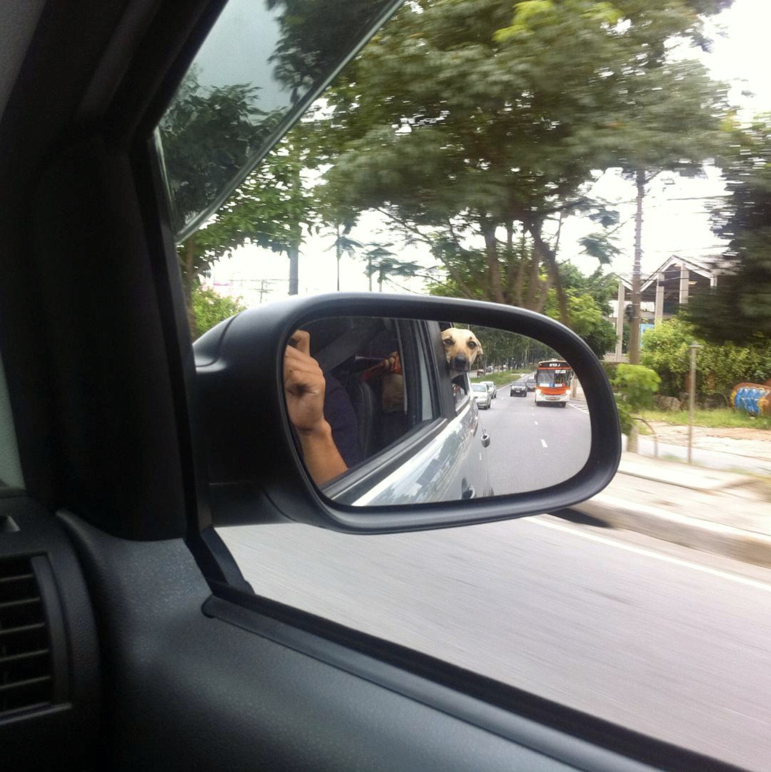 Autoral — Luan Rodrigues