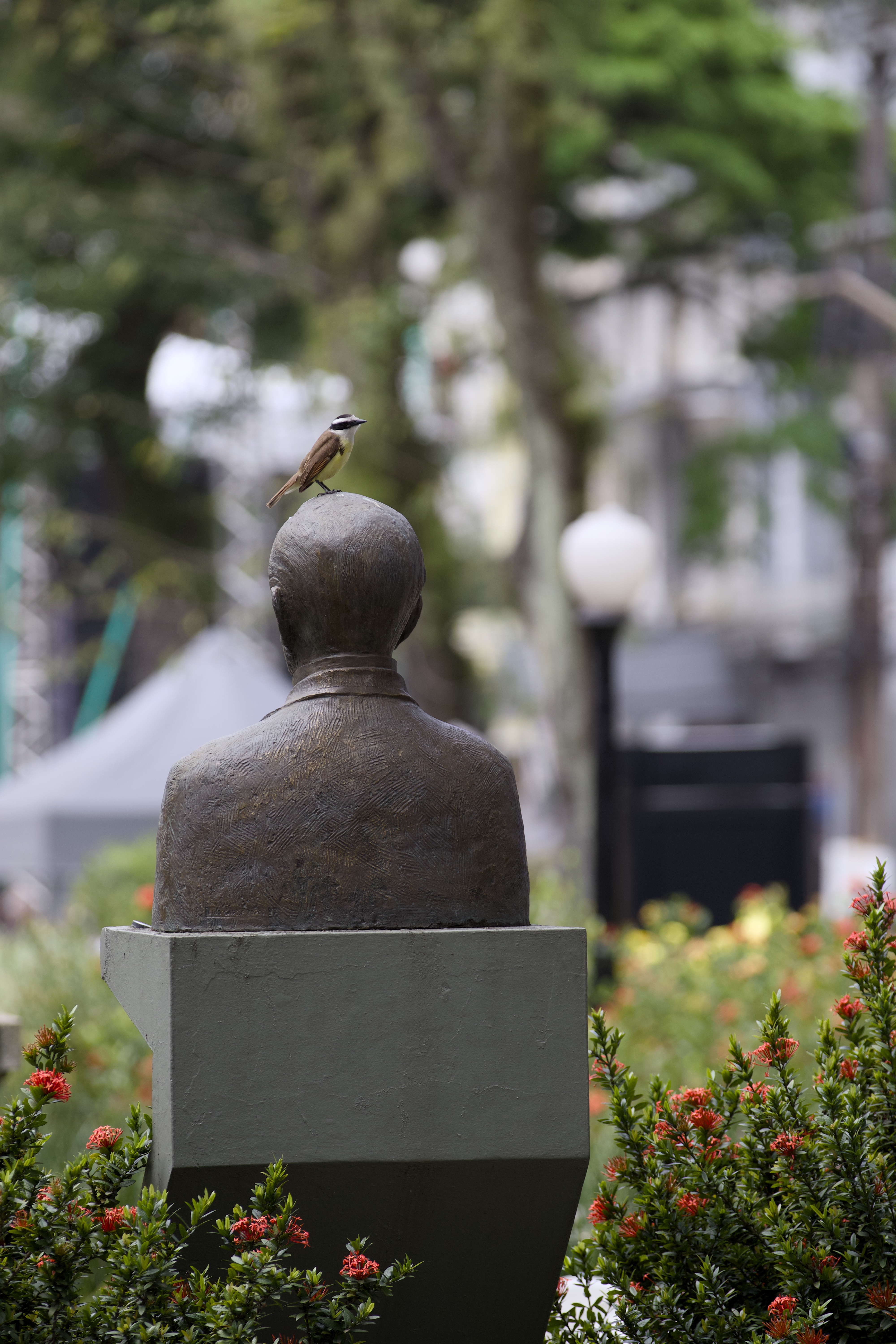 Santos, SP — Brasil