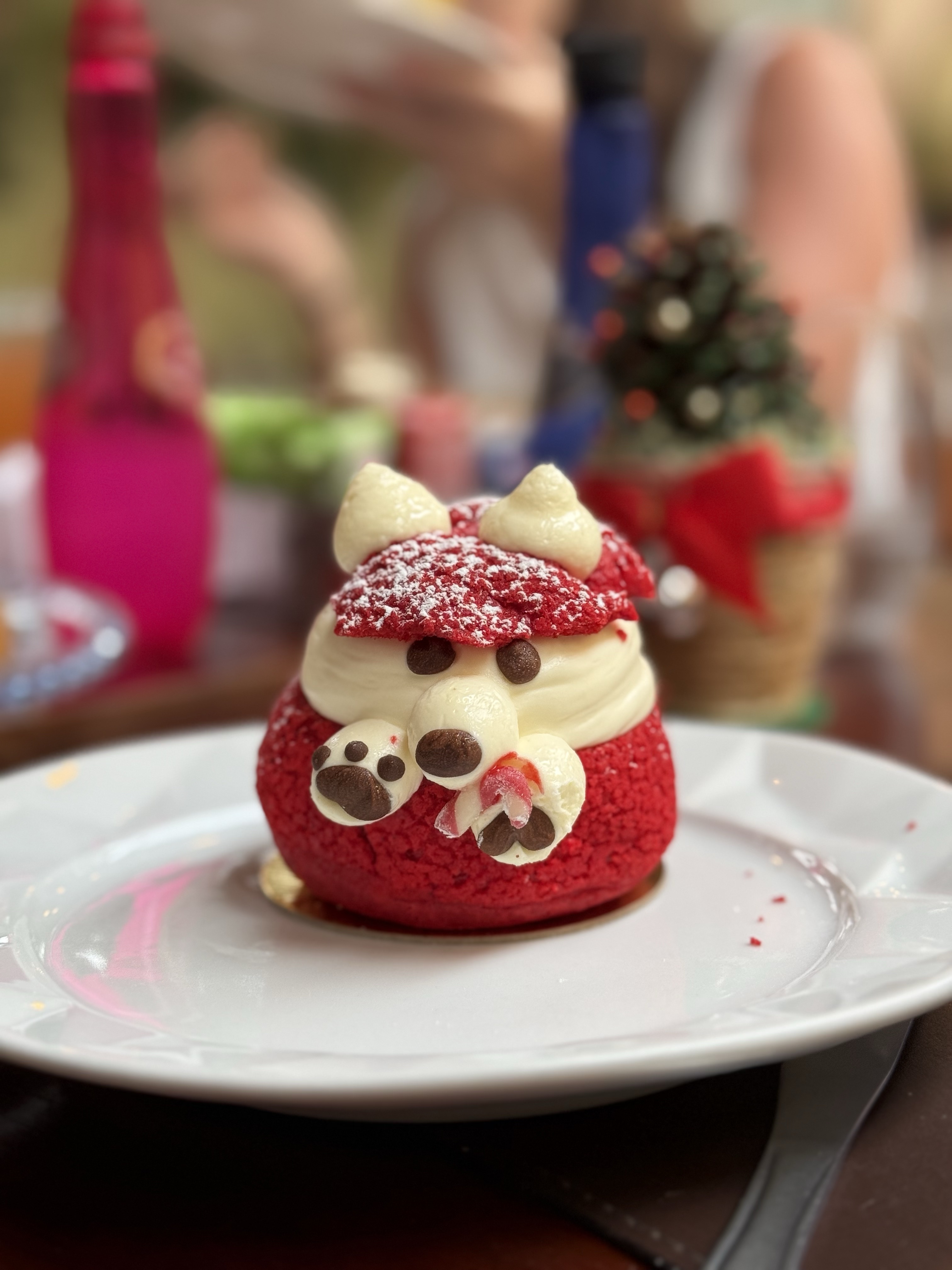 Santos, SP — Brasil